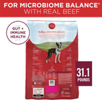 PURINA ONE  SMALL BITE BEEF RICE