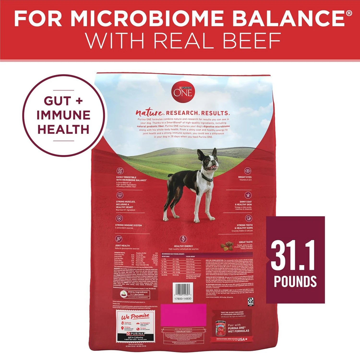PURINA ONE  SMALL BITE BEEF RICE