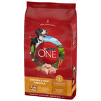 PURINA ONE Digestive Health 8lb US