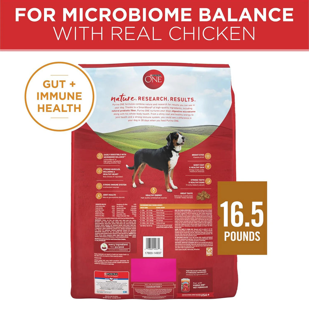 PURINA ONE Digestive Health 8lb US