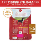 PURINA ONE Digestive Health 8lb US