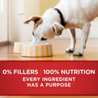 Purina One Classic Ground Chicken & Brown Rice Wet Dog Food 368 g