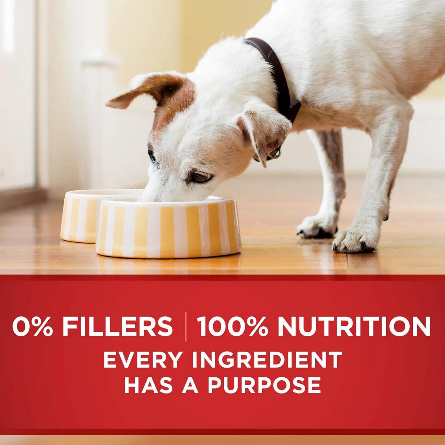Purina One Classic Ground Chicken & Brown Rice Wet Dog Food 368 g