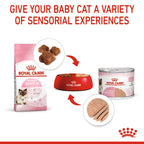 Royal Canin Mother & Babycat (Wet Food - Cans)12x 195 g