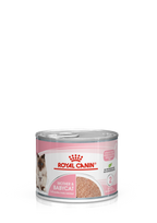 Royal Canin Mother & Babycat (Wet Food - Cans)12x 195 g