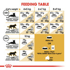 Royal Canin Maine Coon Adult 2 kg
