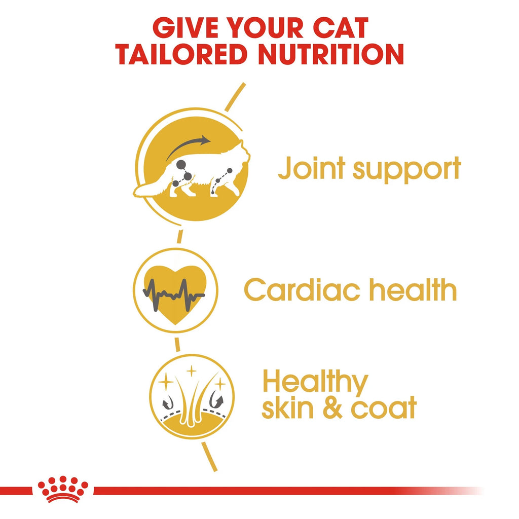 Royal Canin Maine Coon Adult 2 kg