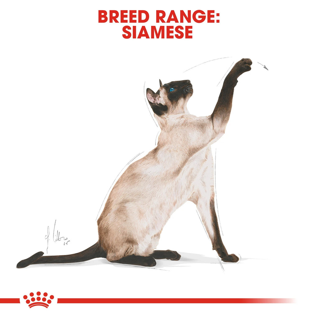 Royal Canin Siamese Adult 2 kg