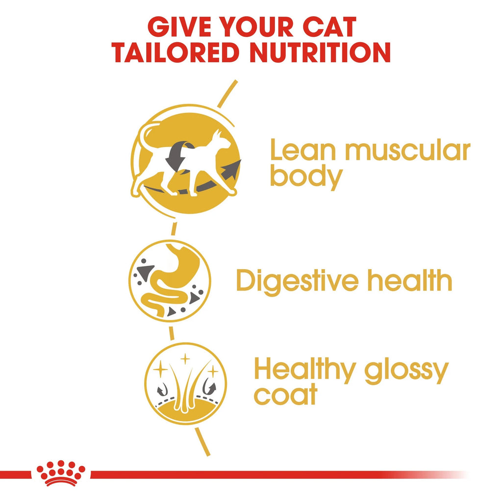 Royal Canin Siamese Adult 2 kg