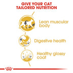 Royal Canin Siamese Adult 2 kg