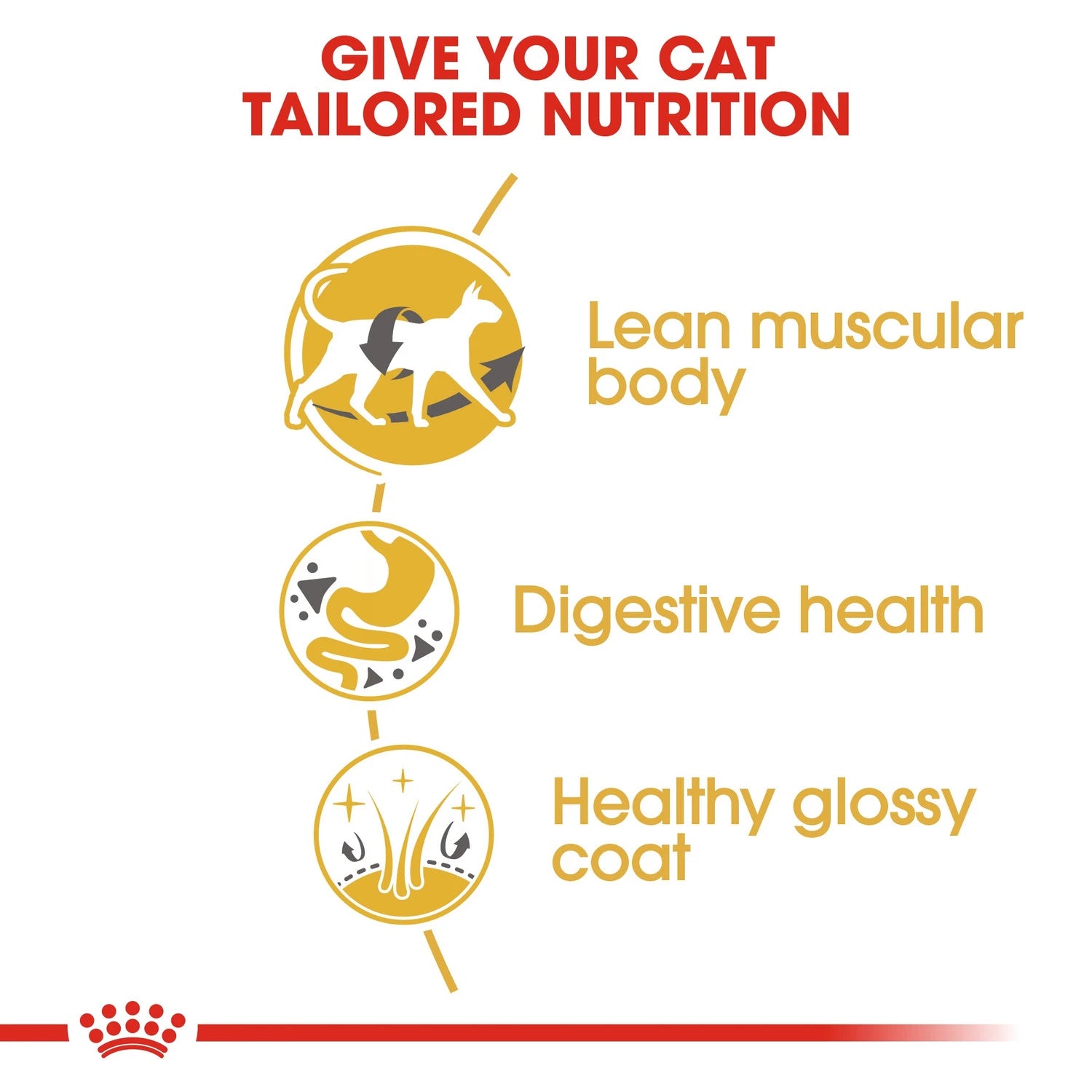 Royal Canin Siamese Adult 2 kg