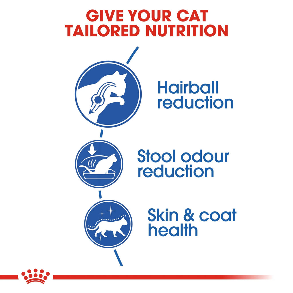 Royal Canin Indoor Long Hair