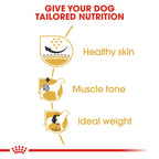 Royal Canin Pug 1.5 Kg
