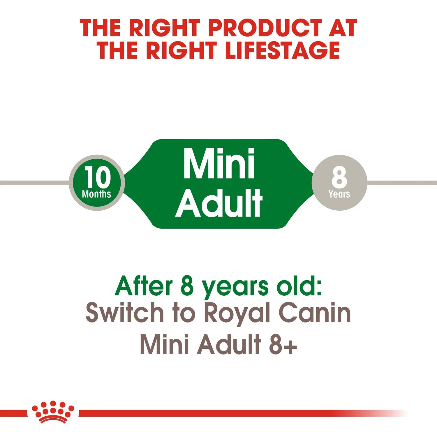 Royal Canin Size Health Nutrition Mini Adult 2 kg