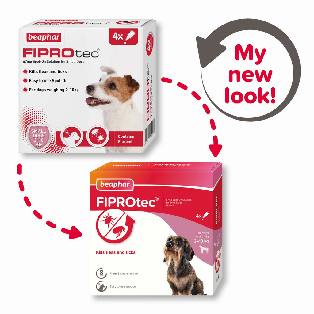 Fiprotec for Small Dog 4 Pipettes