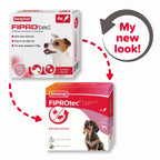 Fiprotec for Small Dog 4 Pipettes