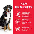 Hill's Science Plan Large Breed Adult Dog Food with Lamb & Rice