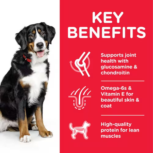 Hill's Science Plan Large Breed Adult Dog Food with Lamb & Rice