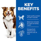 Hill's Science Plan Mature Adult 7+ Dog Food with Chicken