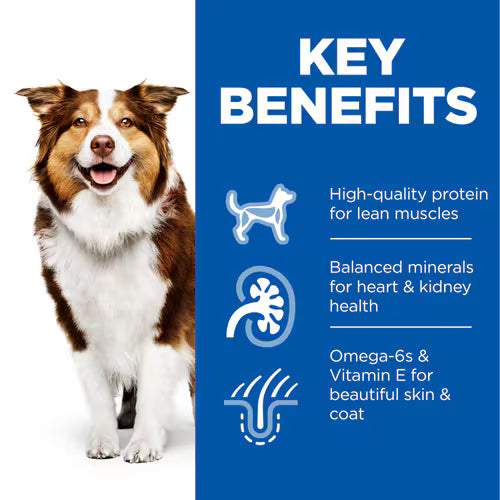 Hill's Science Plan Mature Adult 7+ Dog Food with Chicken