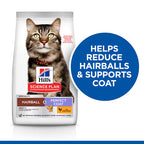 Hairball & Perfect Coat Adult Dry Cat Food with Chicken