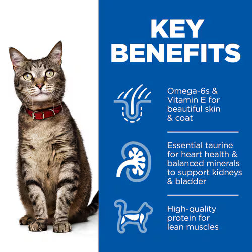 Hill's Science Plan Adult Wet Cat Food Turkey Pouches