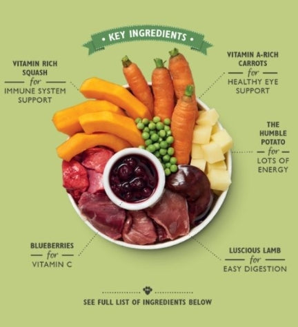 Lily's Kitchen Lamb Hotpot Wet Dog Food