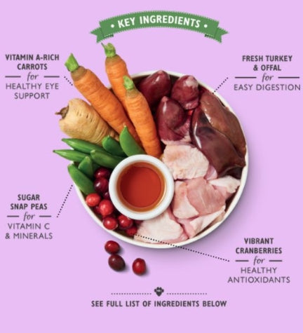 Lily's Kitchen Senior Recipe Dog Wet Food