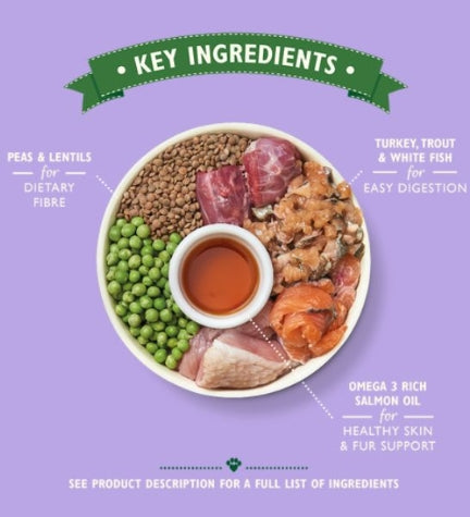 Lily's Kitchen Senior Recipe Turkey Adult 8+ Dry Dog Food