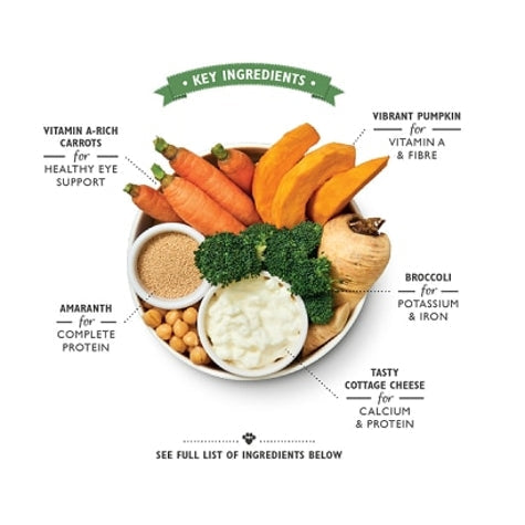 Lily's Kitchen Wholesome Veggie Feast Wet Dog Food Box 6x375G