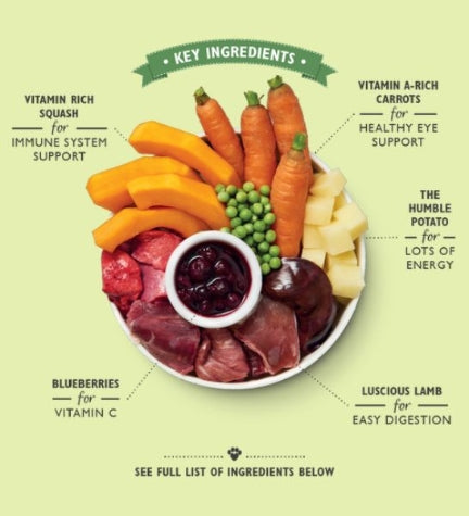 Lily's Kitchen Lamb Hotpot Wet Dog Food